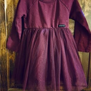 Calvin Klein  Kids dark purple /Burgundy Dress